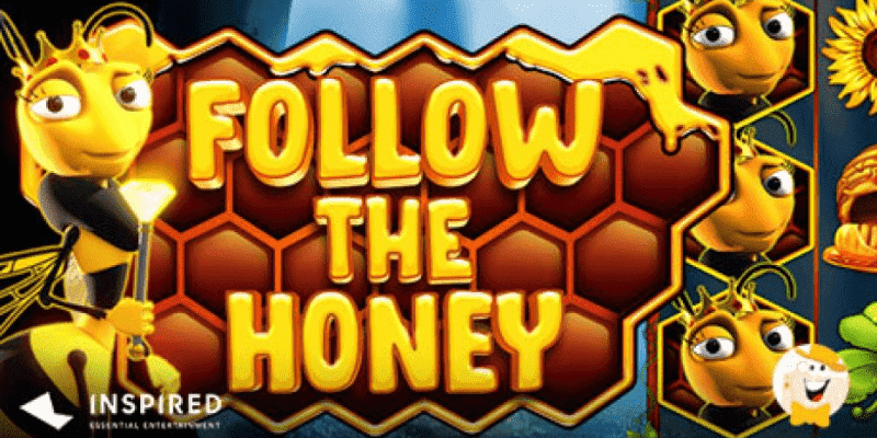 Follow The Honey